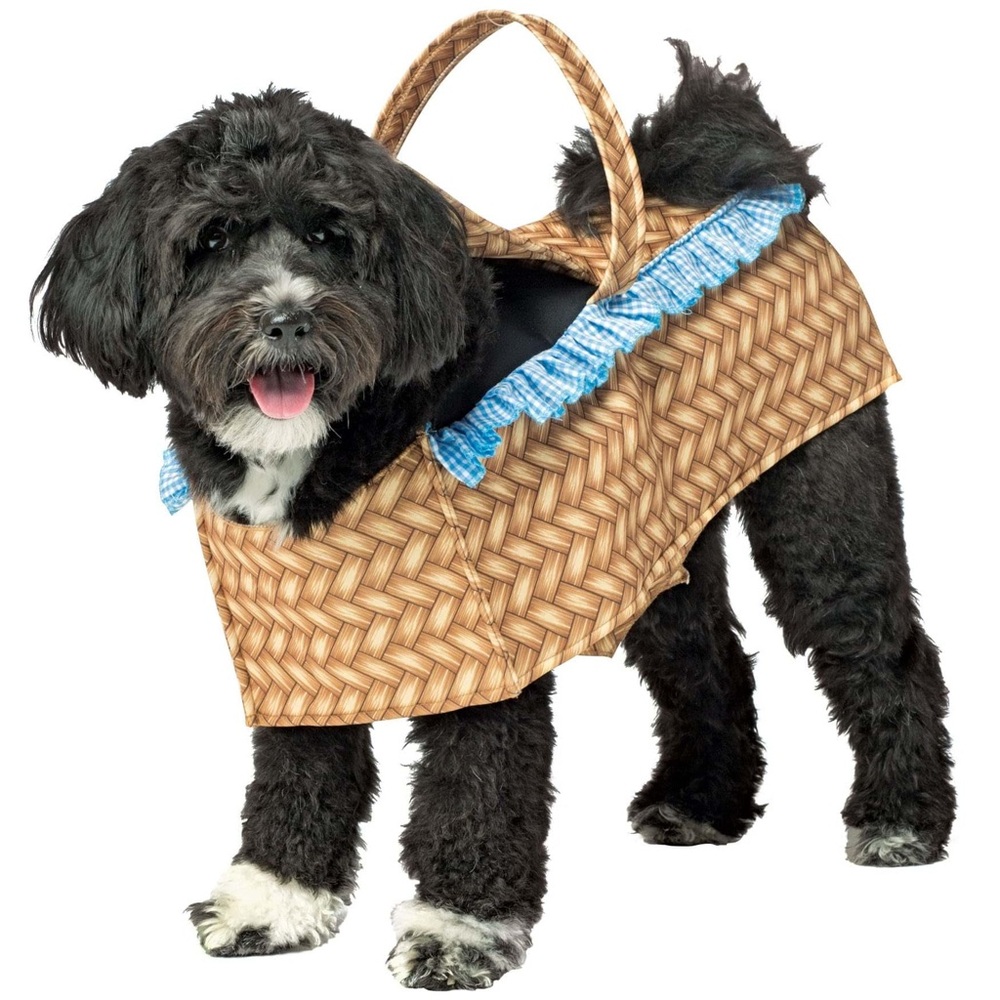 Basket Halloween Costume for Dog